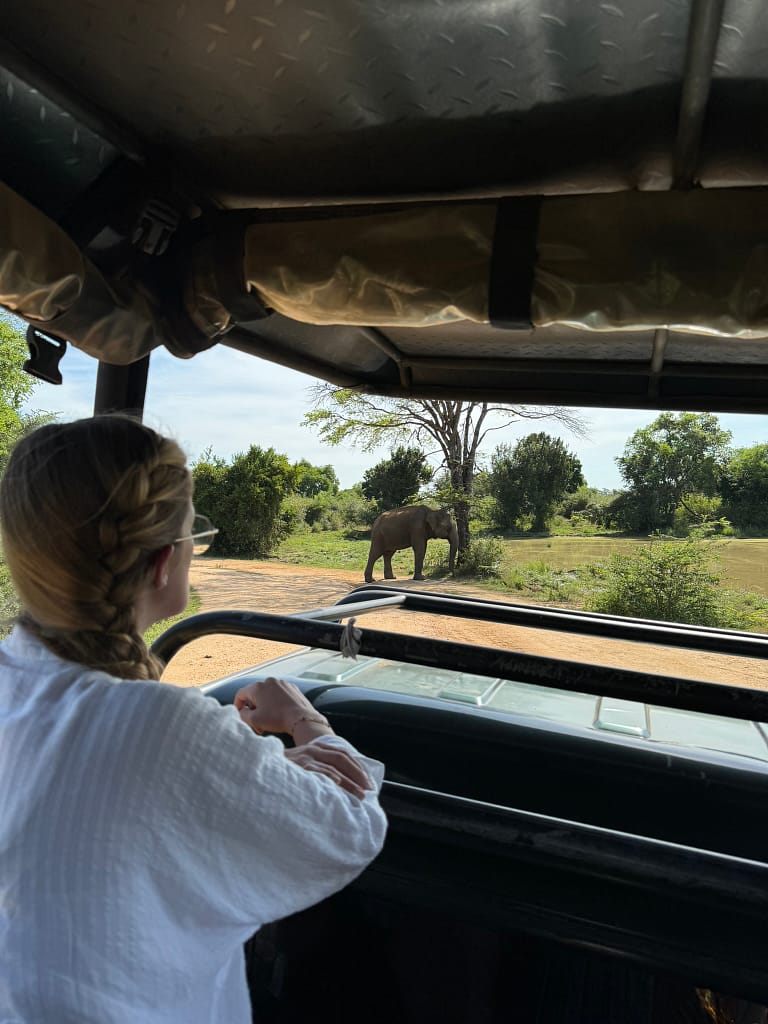 Quel safari faire au Sri Lanka : expérience à Udawalawe safari Udawalawe voyageuse avec appareil photo dans une Jeep devant un éléphant