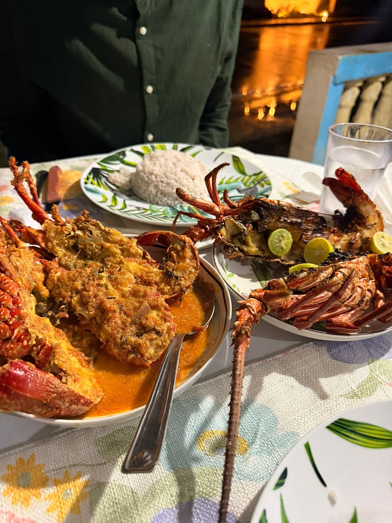 Préparer un voyage à Madagascar : guide complet, visa, budget, vaccins Cigales de mer et riz madagascar
