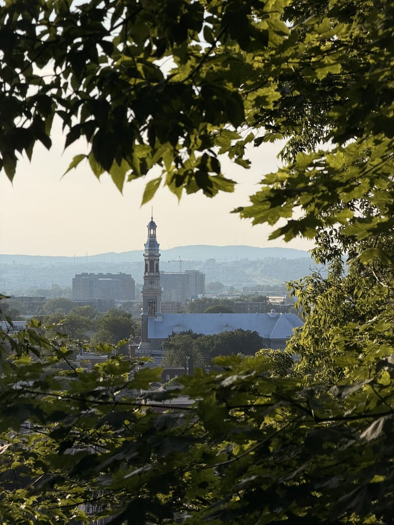 Road trip au Québec : itinéraire de 2 semaines de Montréal à la Gaspésie Rue pavée et bâtiments historiques dans le Vieux-Québec au Canada