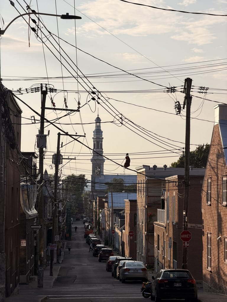 Road trip au Québec : itinéraire de 2 semaines de Montréal à la Gaspésie Rue pavée et bâtiments historiques dans le Vieux-Québec au Canada