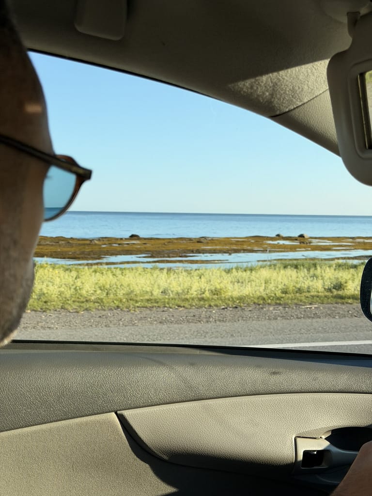 A la recherche des orignaux en Gaspésie ? Rencontre au mont Ernest-Laforce road trip en Gaspésie au Canada
