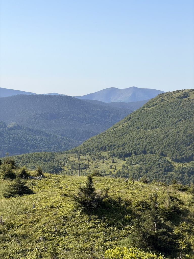Road trip au Québec : itinéraire de 2 semaines de Montréal à la Gaspésie voir des orignaux en Gaspésie au Québec à Ernest Laforce