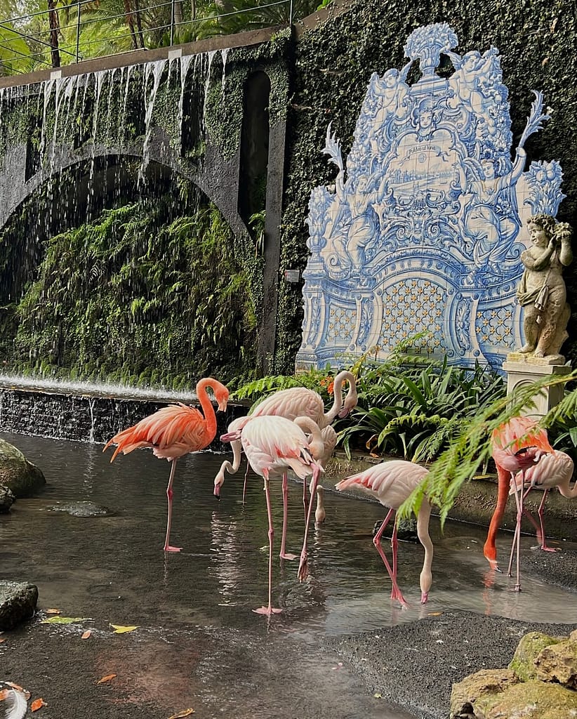 Jardin botanique Funchal Madère Portugal