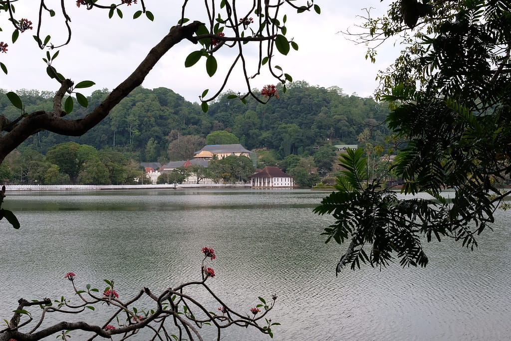 temple of the tooth et vue du lac a kandy sri lanka