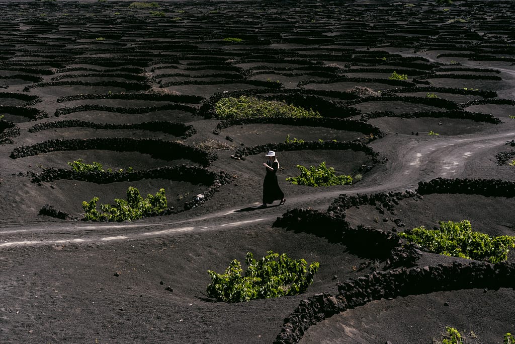 Visiter Lanzarote en une semaine : itinéraire complet pour 7 jours aux Canaries vignes volcan Lanzarotte Canaries espagnes