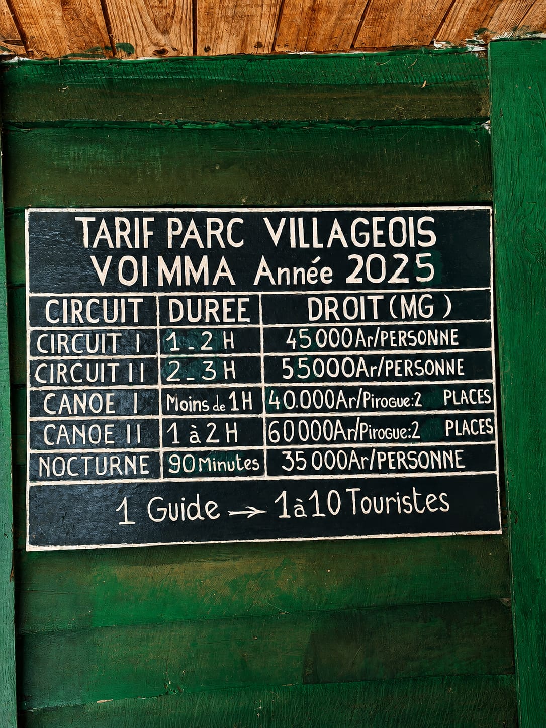 Que faire à Andasibe à Madagascar ? Guide complet 2026 Parc nationnal analaztaotra andasibe madagascar indri indri VOI MMA