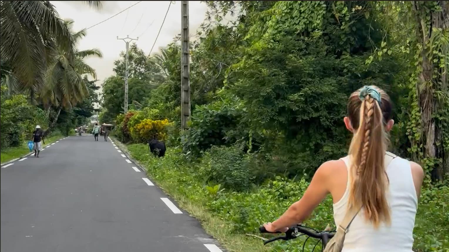 Madagascar : itinéraire pour 2 semaines de voyage vélo sainte Marie route verdoyante et zébus
