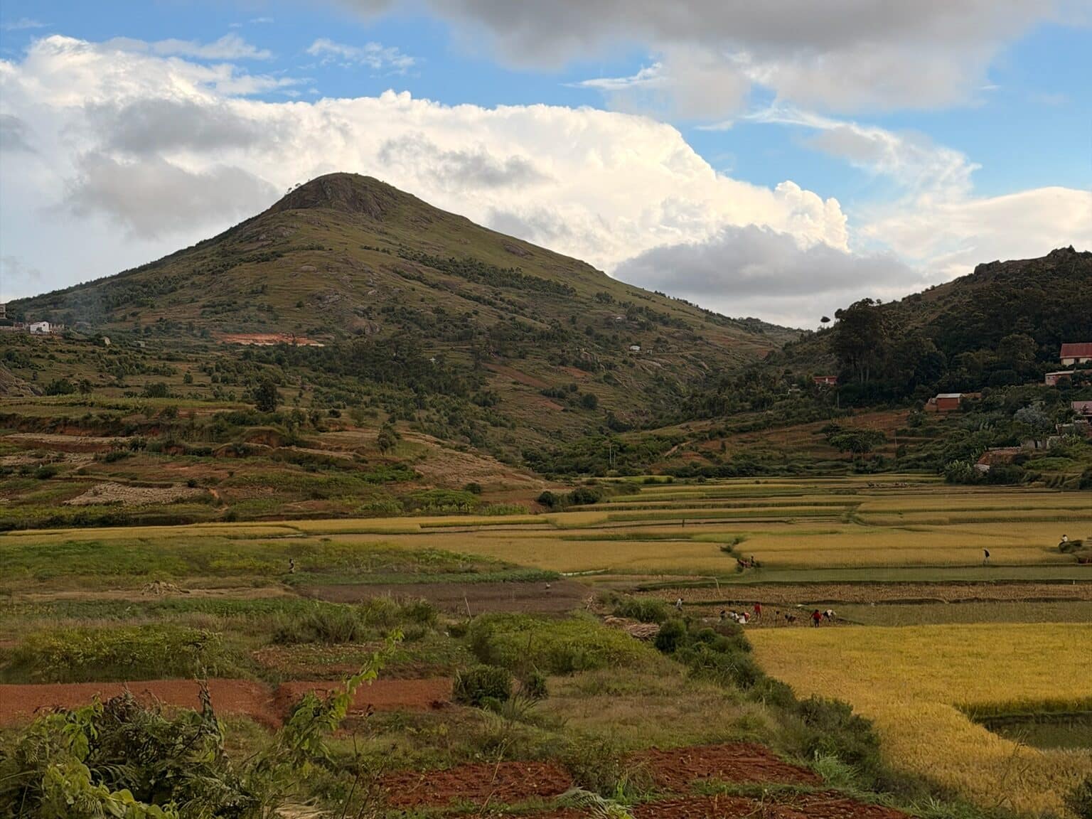 Que faire à Andasibe à Madagascar ? Guide complet 2026 Route andasibe Antananarivo Madagascar