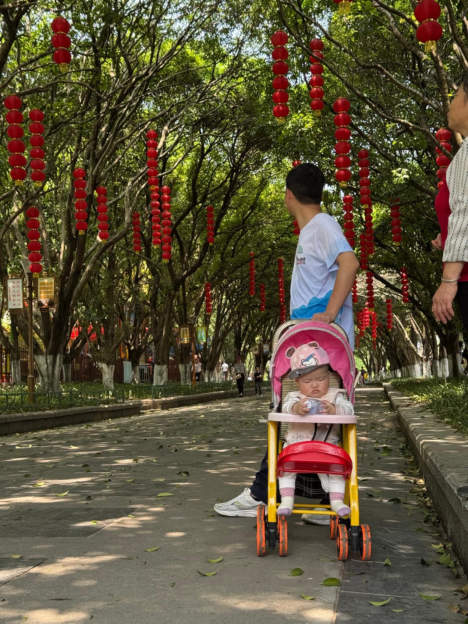 Voyage en Chine sans agence : notre itinéraire de 2 semaines entre Pékin, Guilin et Wuhan Guilin seven star park