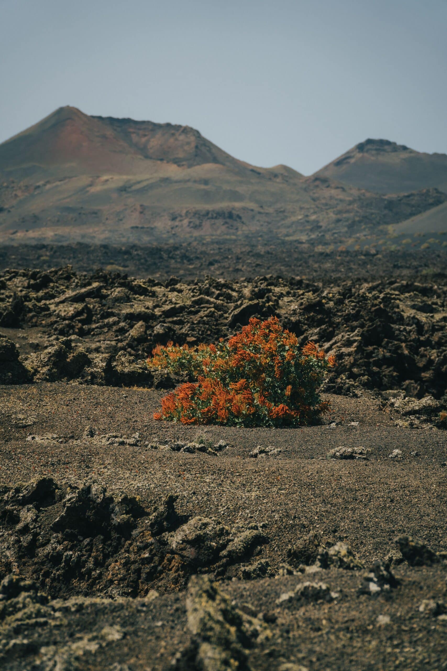 Visiter Lanzarote en une semaine : itinéraire complet pour 7 jours aux Canaries Timanfaya volcans. Lanzarote aux Canaries en Espagne