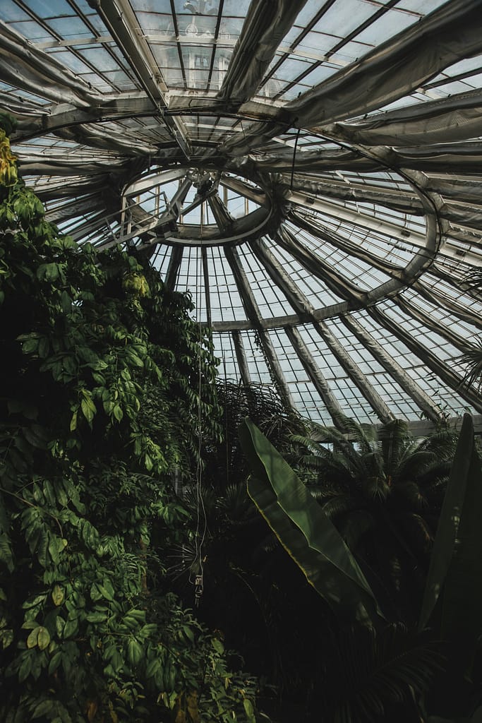 Jardin botanique de Copenhague Danemark