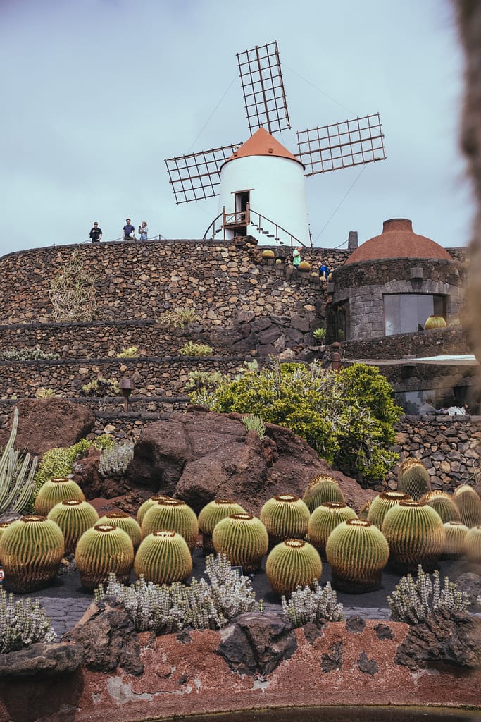 Visiter Lanzarote en une semaine : itinéraire complet pour 7 jours aux Canaries Jardin de Cactus Lanzarotte Espagne Canaries