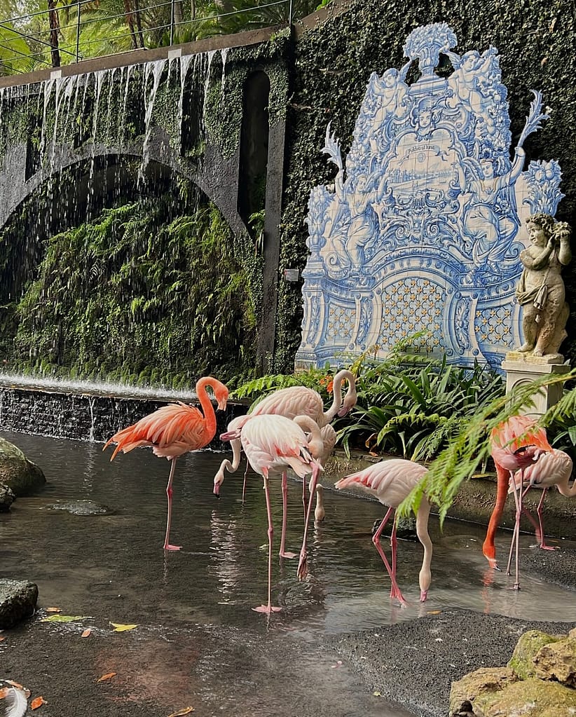 Jardin botanique Funchal Madère Portugal